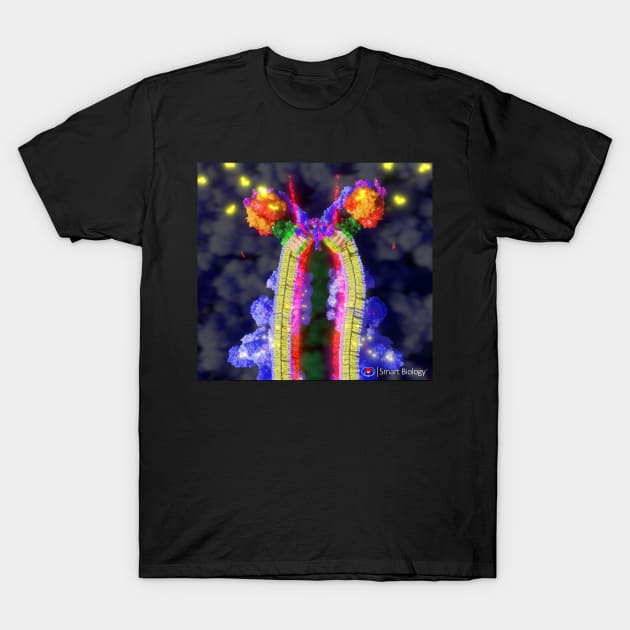 ATP Synthase T-Shirt by Smart Biology